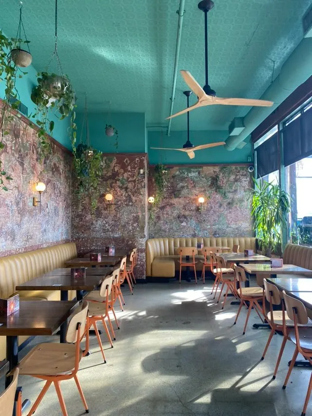 Havana dining room with turquoise ceiling, hanging plants and wooden tables.